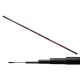 Carp Expert Evolution Power Pole 5m Whip Rod