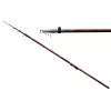Carp Expert Evolution Power Bolo 4m 5-35gr Bolognese Rod