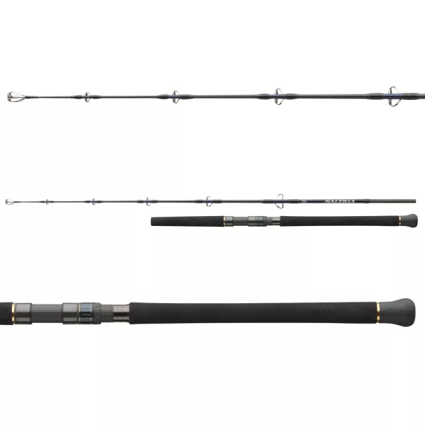 Daiwa Saltiga Jigging 1.70m 150-300gr 1+1-piece Sea Spinning Rod