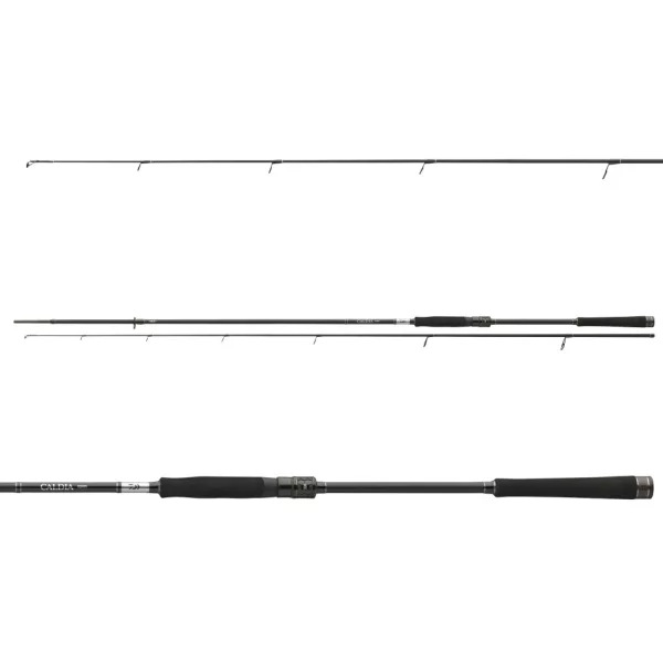 Daiwa Caldia 2.40m 30-70gr 2-piece Spinning Rod