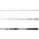 Daiwa Exceler Jiggerspin 3.05m 3-18gr 2-piece Spinning Rod