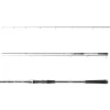 Daiwa Exceler Jiggerspin 3,05m 5-25gr 2-piece Spinning Rod