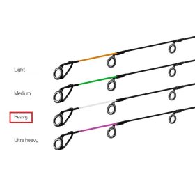 Delphin Tip Carbon HEAVY River Trophy 300cm white