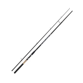 Kamasaki Big Fish 3,00m 40-80gr 2-Piece Catfish Rod