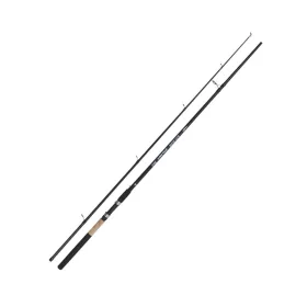 Kamasaki Big Fish 3,00m 100-200gr 2-Piece Catfish Rod