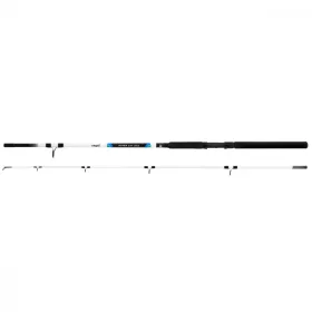Kamasaki Super Cat 3.00m 100-300gr 2-Piece Catfish Rod