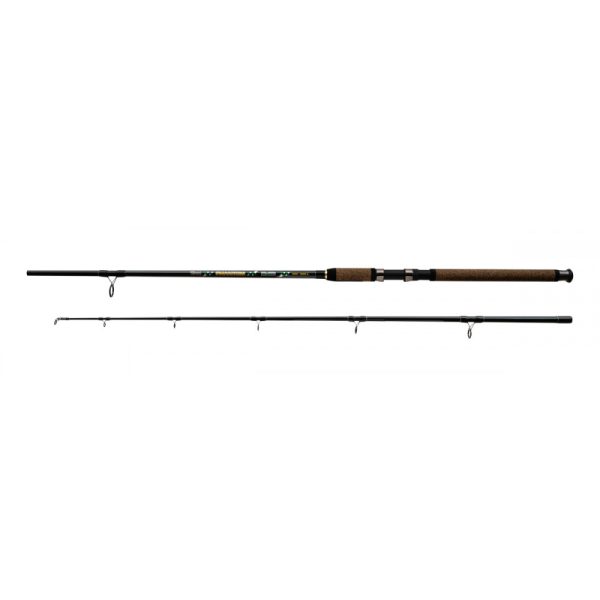 Wizard Phantom 200-500gr 2,40m 2 piece catfishing rod