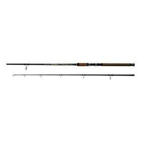 Wizard Phantom 200-500gr 3,00m 2-piece Catfish Rod
