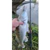 REIVA - FineMaster spinning 220 2-12g - Spinning rod - Spinning