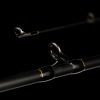 Reiva Kansai Casting 205BC 2,05m 5-30gr 1 piece casting rod