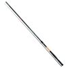 Trabucco Precision MTX Waggler plus 3,60m 20gr 2 piece Match Bot