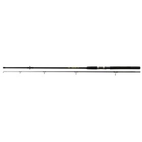 NEVIS Windstorm 300 50-100g Spinning rod