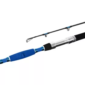 Delphin Hazard 2,85m 500gr 2-piece Catfish rod