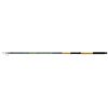 NEVIS - Torrent Tele Match 420 20-80g - Match rod - Telematch