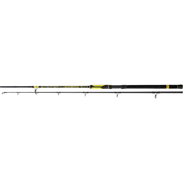 BlackCat Black Cat 2,50m Perfect Passion Boat C.W.: 400g W: 380g