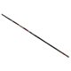 Carp Expert Specialist Pole 6,00m 5-25gr Spiccbot