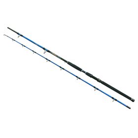 Wizard Cat Pro Power 2-piece 800-1000gr 3,00m Catfish Rod