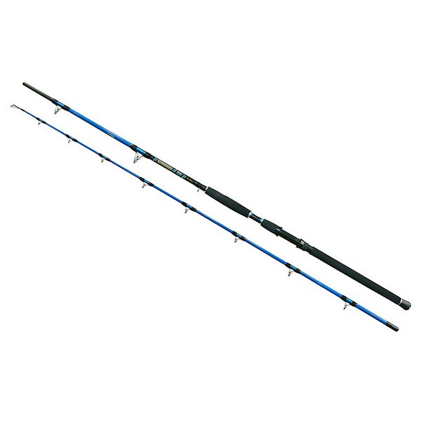 Wizard Cat Pro Power 2 piece 800-1000gr 3,00m Catfishing Rod