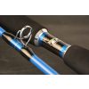 Wizard Cat Pro Power 2 piece 800-1000gr 3,00m Catfishing Rod
