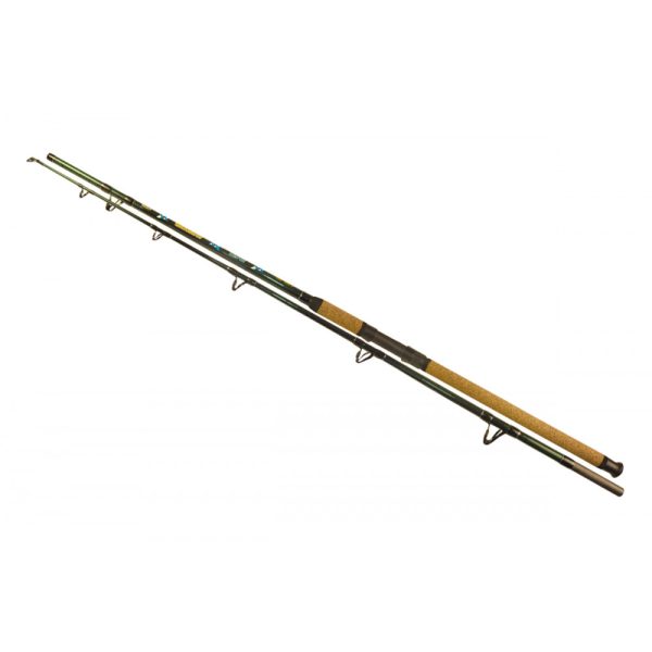 Wizard Catfish Shadow 2,70m 700-900gr 2 piece catfishing rod