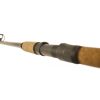 Wizard Catfish Shadow 2,70m 700-900gr 2 piece catfishing rod