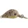 Rapture Pro Hot Buzz Area S COL 2.5cm 3gr Wobbler