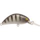 Rapture Pro Hot Bean Area S GSH 3.5gr 4cm Wobbler