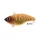 Rapture Pro HF Vibe Crank S HS 6,0cm 16gr Wobbler