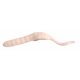 Trabucco Yummy Bait Tail Dancer White 5cm Plastic Bait 8pcs