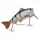 Rapture Dancer Perch wobbler natural Roach 16cm 60gr Wobbler