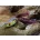 Rapture artificial baits