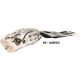 Rapture Popper Frog 6cm 15gr Albino Frog