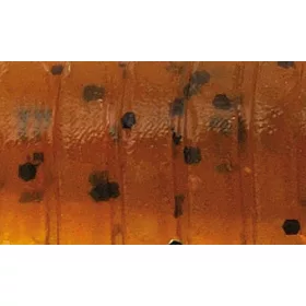   Rapture ULC Cricket 3.3cm 1gr Green Pumpkin BF Soft Rubber Lure 8 pcs