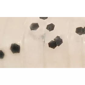   Rapture ULC Hellgrammite 3.3cm 1gr Pearl Blue Soft Rubber Lure 8 pcs