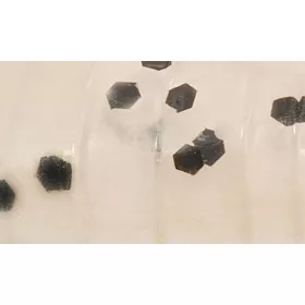   Rapture ULC Water Shrimp 6.2cm 1gr Pearl Blue Soft Plastic Bait 8pcs