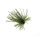 Rapture TG Finesse Rub Jig 2,3gr #01 Watermelon Sock Jig