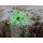 Rapture TG Finesse Rub Jig 2,3gr #01 Chart-Pepper Sock Jig