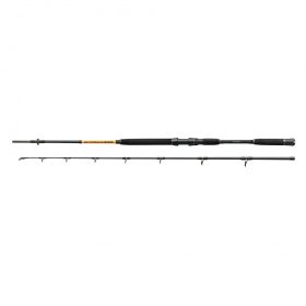 Nevis Powercat BX 2.70m 200-400gr 2-piece Catfish Rod
