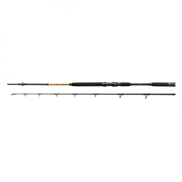 Nevis Powercat BX 3.00m 200-400gr 2-piece Catfish Rod