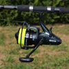 NEVIS Torrent Carp 6000 5+1cs Reel with reel seat