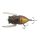 Tiemco Cicada Origin Magnum F 4.5cm 6gr 062 Bug Imitation