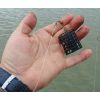 Nevis Power Transparent Rubber 10m 0,80mm