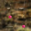 Carp Academy Fusion 0,30mm 25m Transparent Fluorocarbon Pre-starter