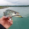Reiva Ultra Strong Jig Head 1-7gr 4pcs/pack Jig head