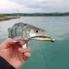 Reiva Ultra Strong Jig Head 28gr 6/0 Jig Head 3pcs