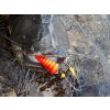 BlackCat Black Cat U-Float "Tree" 10g fluo yellow