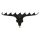 Nevis Method Pro3 Bottle holder head