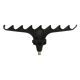 Nevis Method Pro3 Bottle holder head
