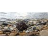 Nevis River Feeder Basket 80g