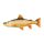 Fish Pillow Trout